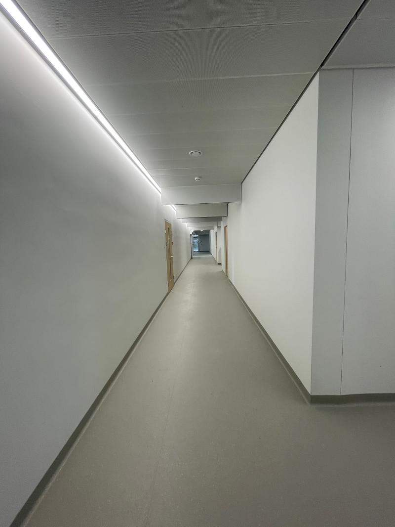 Ingenieurbüro Wien, Ingenieurbüro Graz 